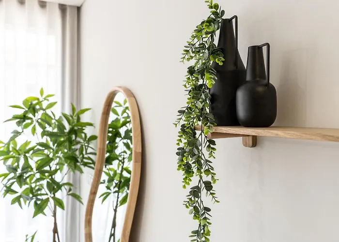 Water Lily Appartement *