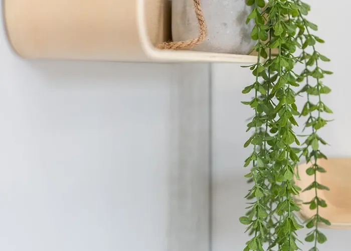 Water Lily Appartement